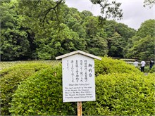 007-Meiji-Jinga