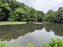 014-Meiji-Jinga