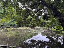 016-Meiji-Jinga