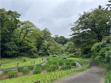 017-Meiji-Jinga