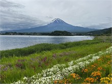 015-Mt-Fuji