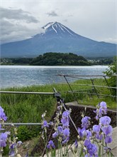 019-Mt-Fuji