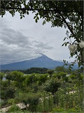 034-Mt-Fuji