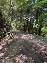 002-Daishoin-Shrine
