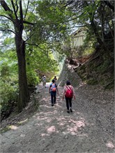 041-Miyajima-Island