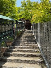 059-Miyajima-Island
