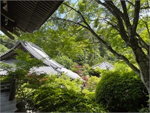 063-Miyajima-Island