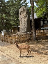 042-Nara