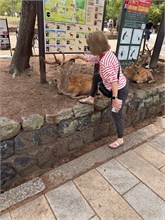 051-Nara