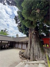 073-Nara