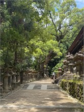 088-Nara