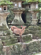 093-Nara