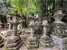 096-Nara
