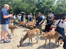 002-Todai-ji_Temple