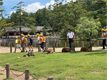 009-Todai-ji_Temple