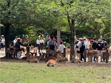 046-Todai-ji_Temple