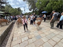 047-Todai-ji_Temple