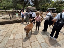048-Todai-ji_Temple