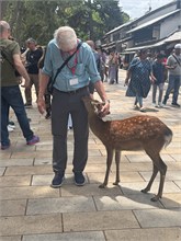 049-Todai-ji_Temple