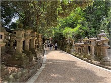 007-Kasuga-Grand-Shrine