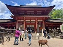 011-Kasuga-Grand-Shrine