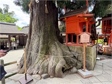 021-Kasuga-Grand-Shrine