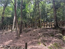 036-Kasuga-Grand-Shrine