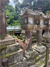 037-Kasuga-Grand-Shrine