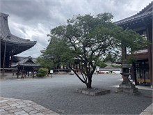 039-Nishi_Hongan-Ji_Temple
