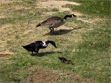 IMG_7112