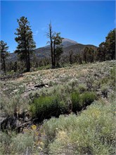 016-Great_Basin_Ntl_Prk