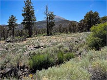 017-Great_Basin_Ntl_Prk