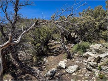026-Great_Basin_Ntl_Prk