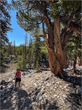 039-Great_Basin_Ntl_Prk