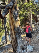 040-Great_Basin_Ntl_Prk