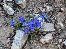 042-Great_Basin_Ntl_Prk