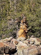 043-Great_Basin_Ntl_Prk