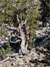 045-Great_Basin_Ntl_Prk