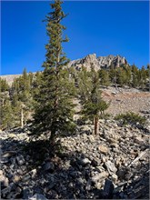 048-Great_Basin_Ntl_Prk