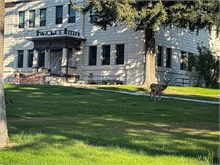 003-Ely_Nevada