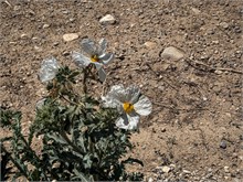 023-Nevada_Hwy-50