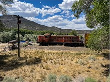 IMG_7309
