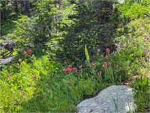 038-Mirror_Lake_Drive
