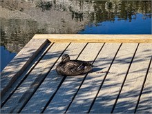 009-Lake_Solitude_Hike