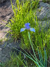 010-Lake_Solitude_Hike