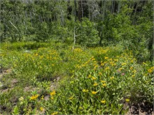 025-Lake_Solitude_Hike