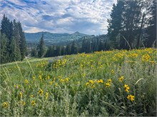 002-Lake_Mary_Hike