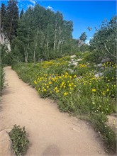 006-Lake_Mary_Hike