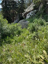 021-Lake_Mary_Hike