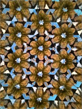 004-Museum_of_Illusions
